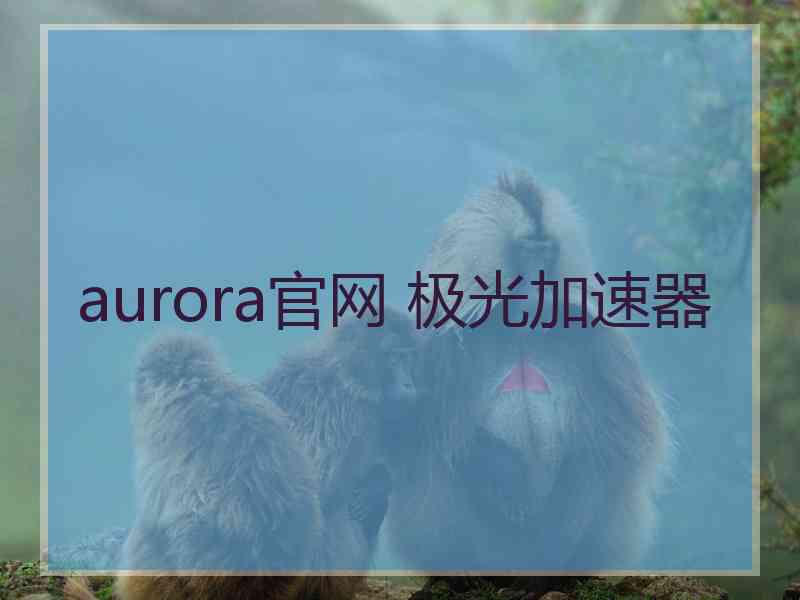 aurora官网 极光加速器