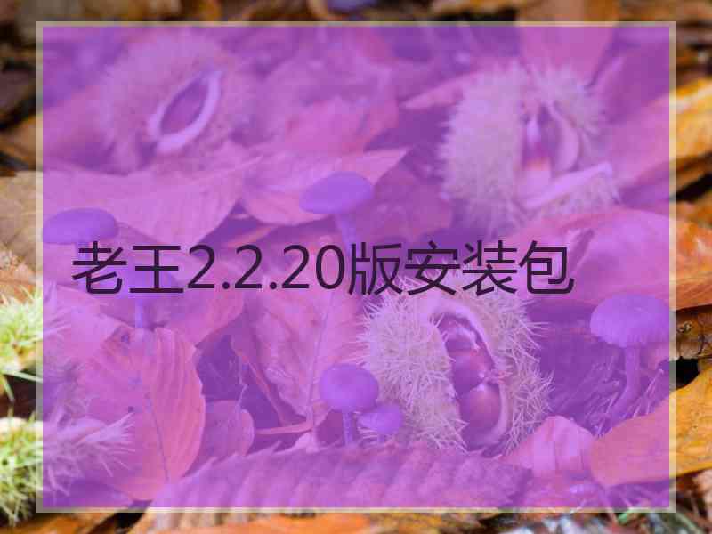 老王2.2.20版安装包