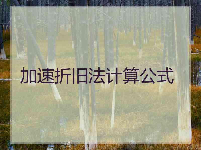 加速折旧法计算公式