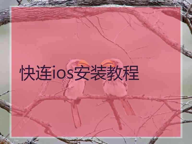 快连ios安装教程