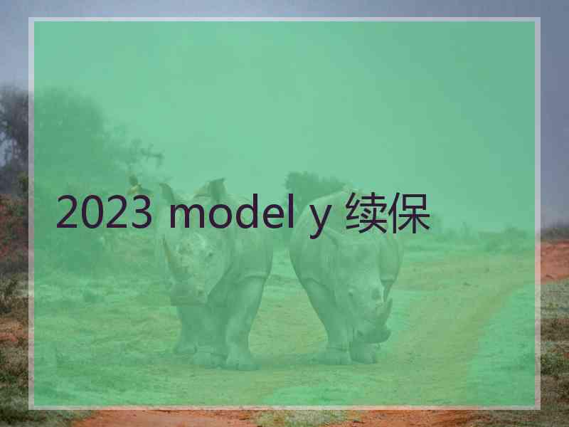 2023 model y 续保