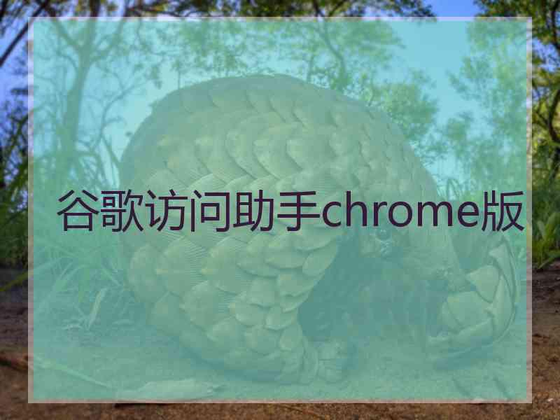 谷歌访问助手chrome版