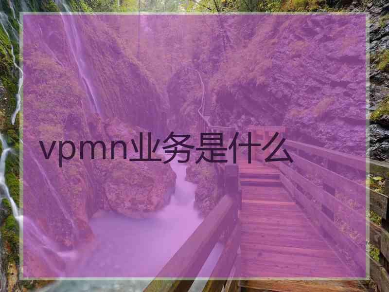 vpmn业务是什么