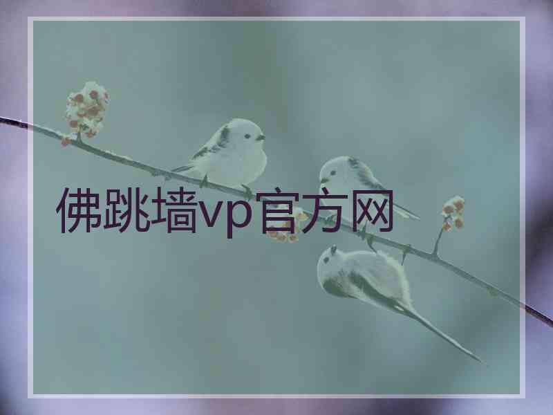 佛跳墙vp官方网