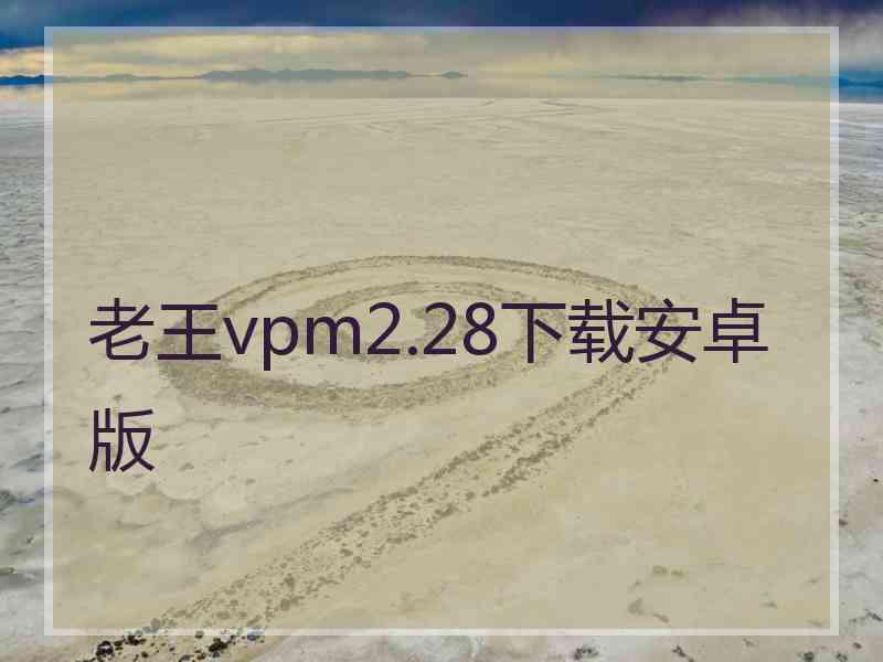 老王vpm2.28下载安卓版