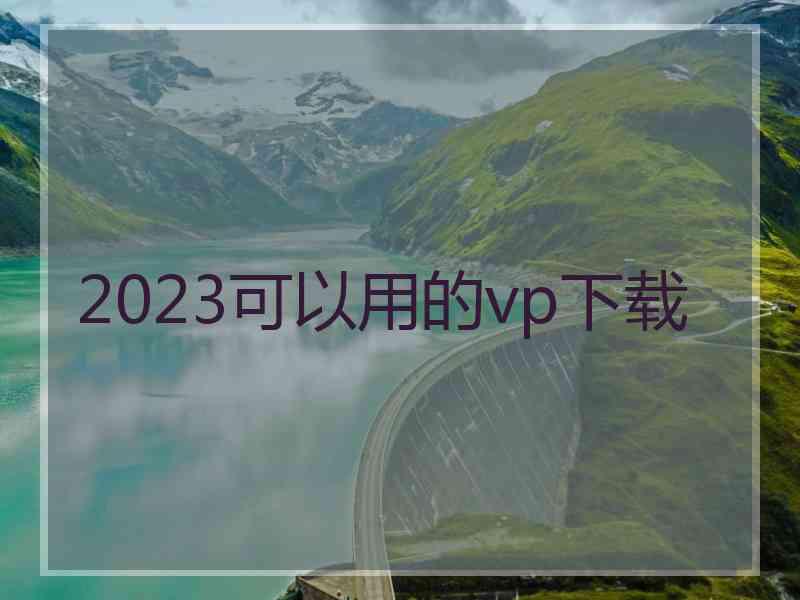 2023可以用的vp下载