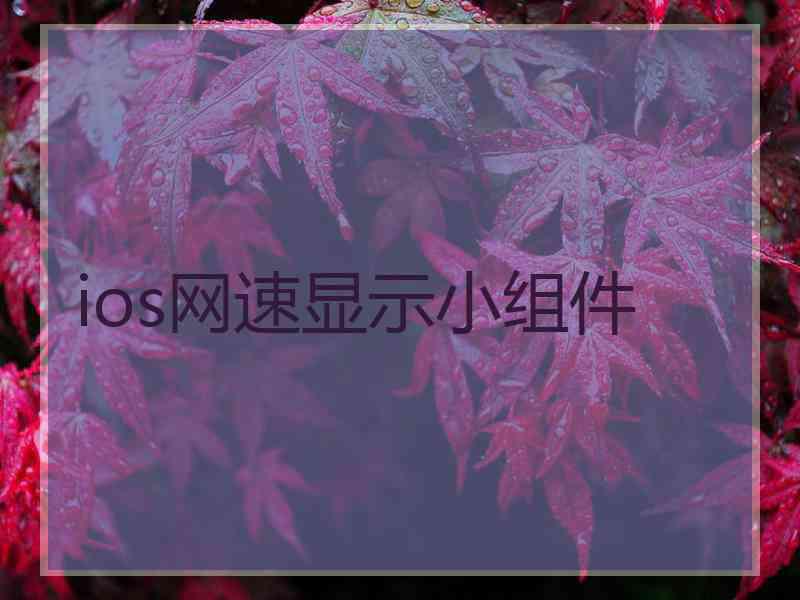 ios网速显示小组件