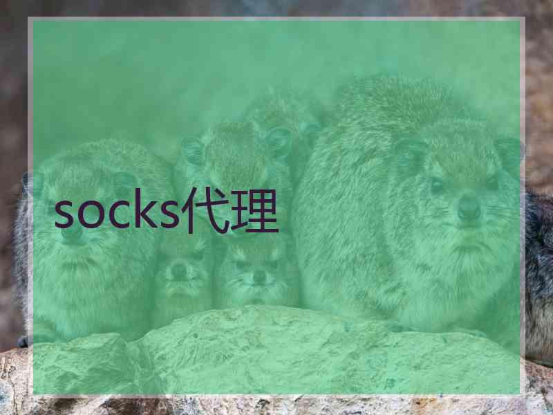 socks代理