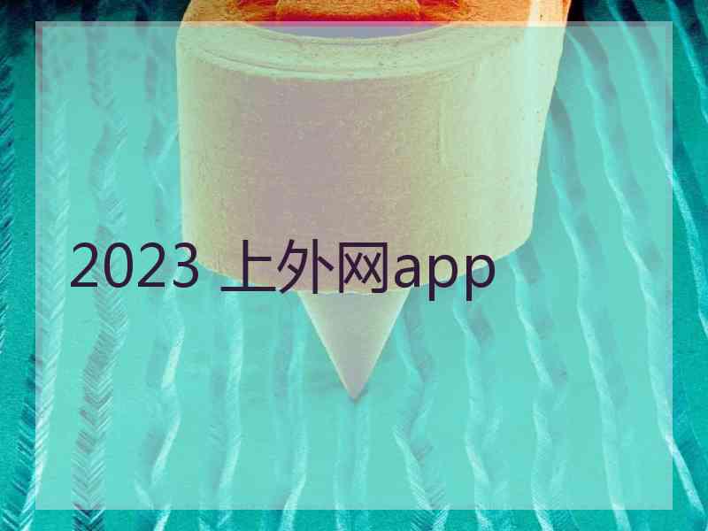 2023 上外网app