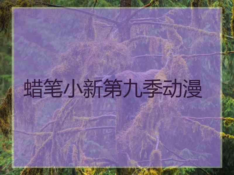 蜡笔小新第九季动漫