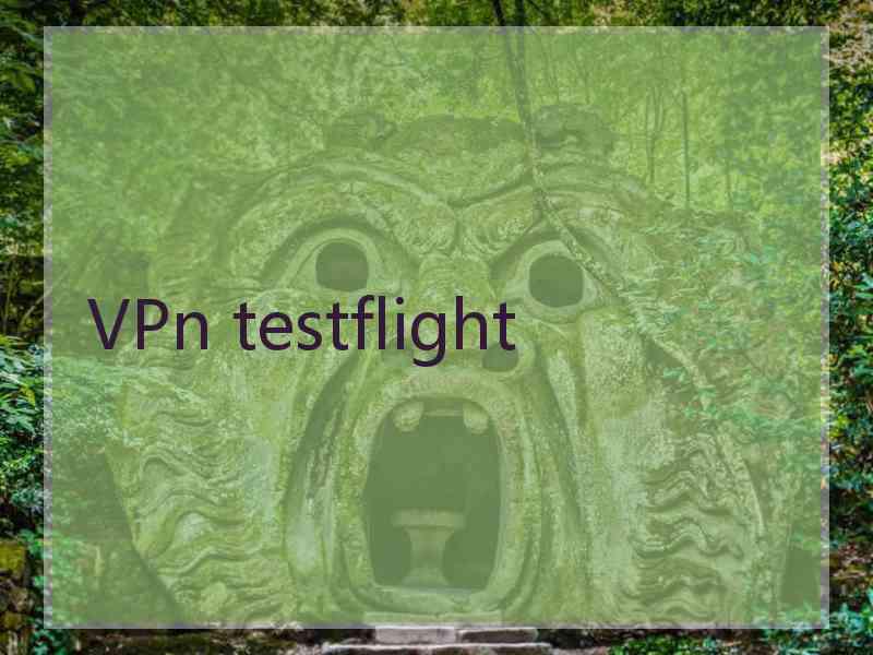 VPn testflight