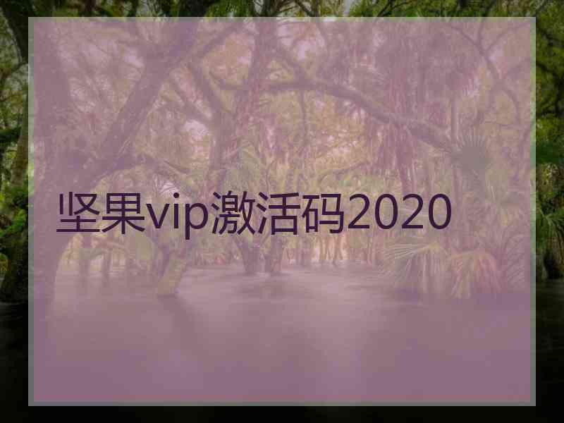 坚果vip激活码2020