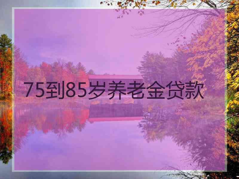 75到85岁养老金贷款