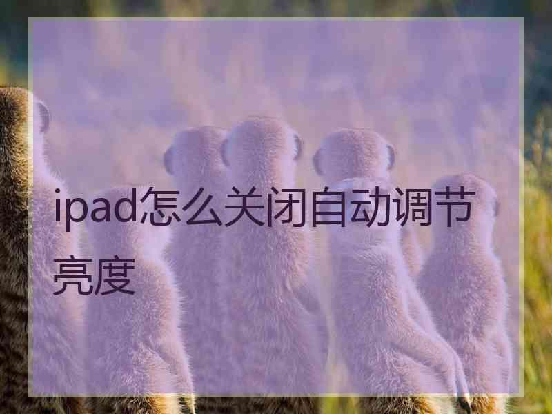 ipad怎么关闭自动调节亮度