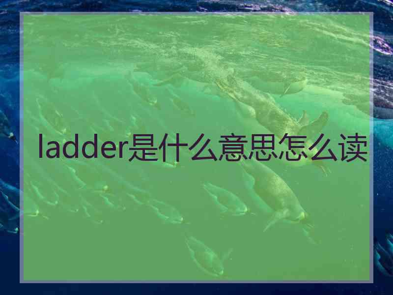 ladder是什么意思怎么读