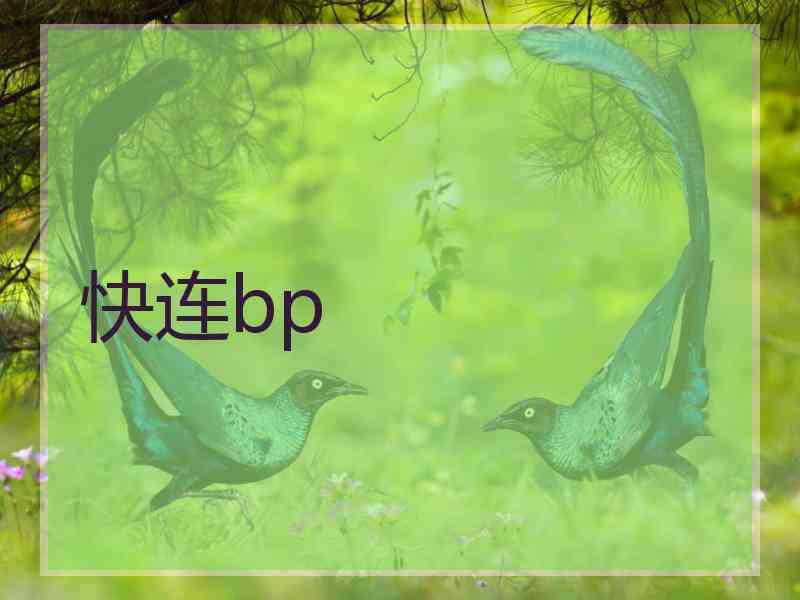 快连bp