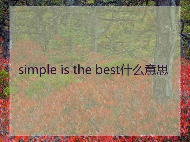 simple is the best什么意思