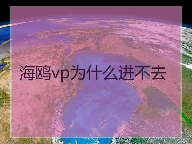 海鸥vp为什么进不去