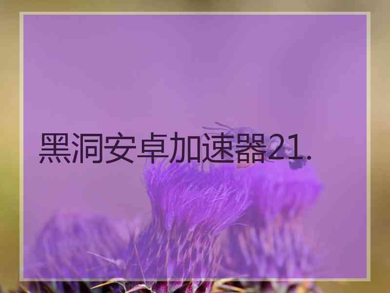 黑洞安卓加速器21.