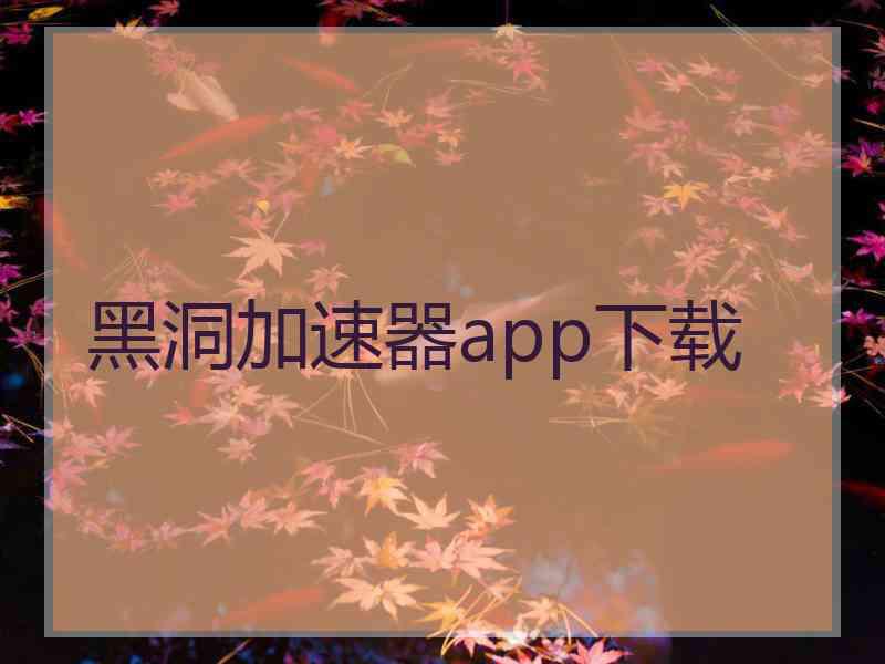 黑洞加速器app下载