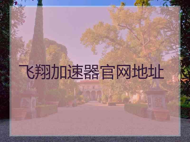 飞翔加速器官网地址