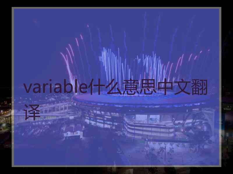 variable什么意思中文翻译