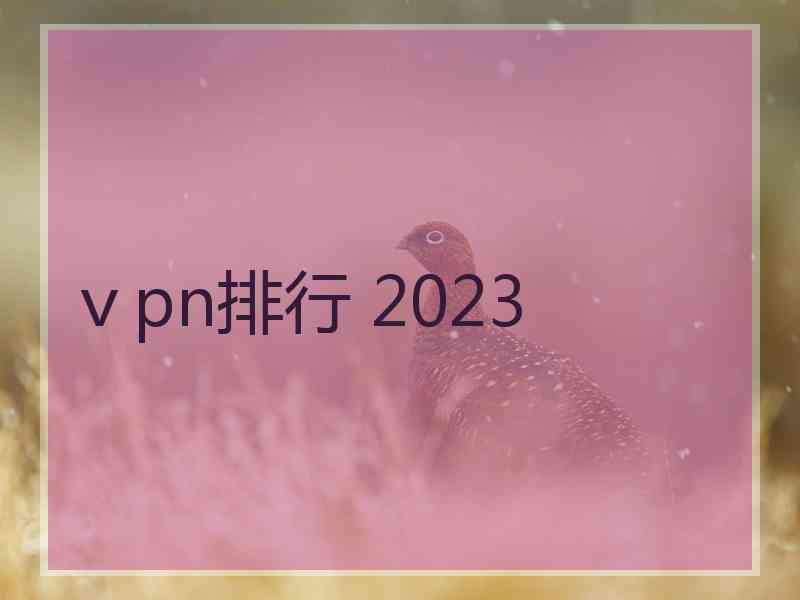 ⅴpn排行 2023