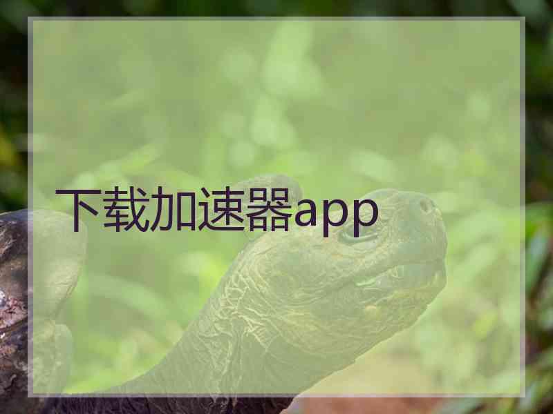 下载加速器app