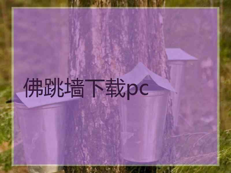 佛跳墙下载pc