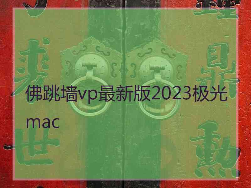 佛跳墙vp最新版2023极光 mac