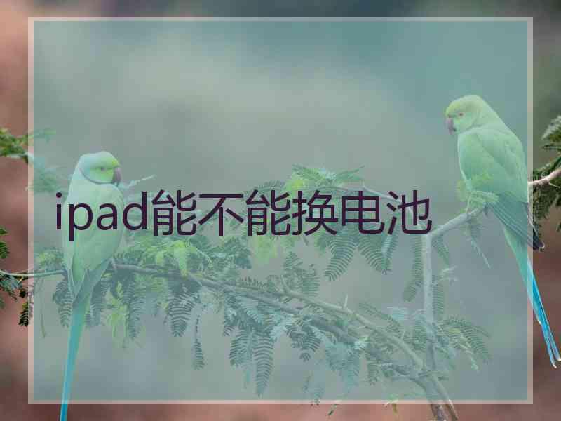 ipad能不能换电池