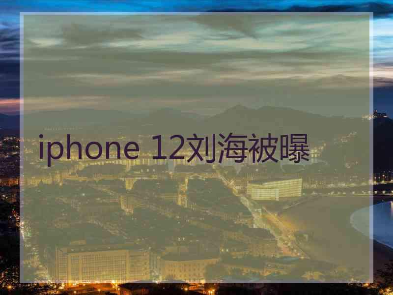 iphone 12刘海被曝