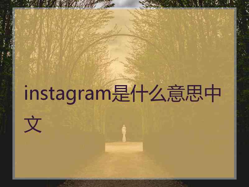 instagram是什么意思中文