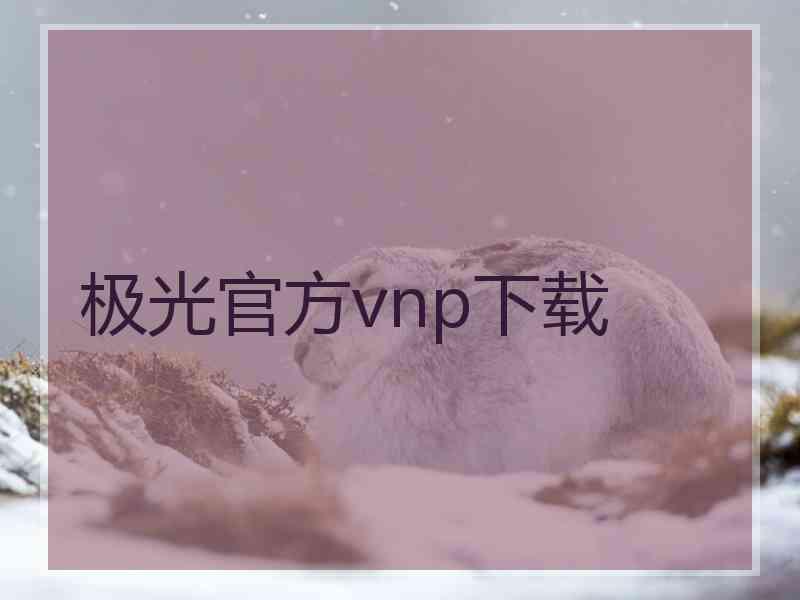 极光官方vnp下载