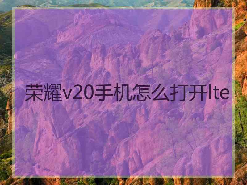 荣耀v20手机怎么打开lte