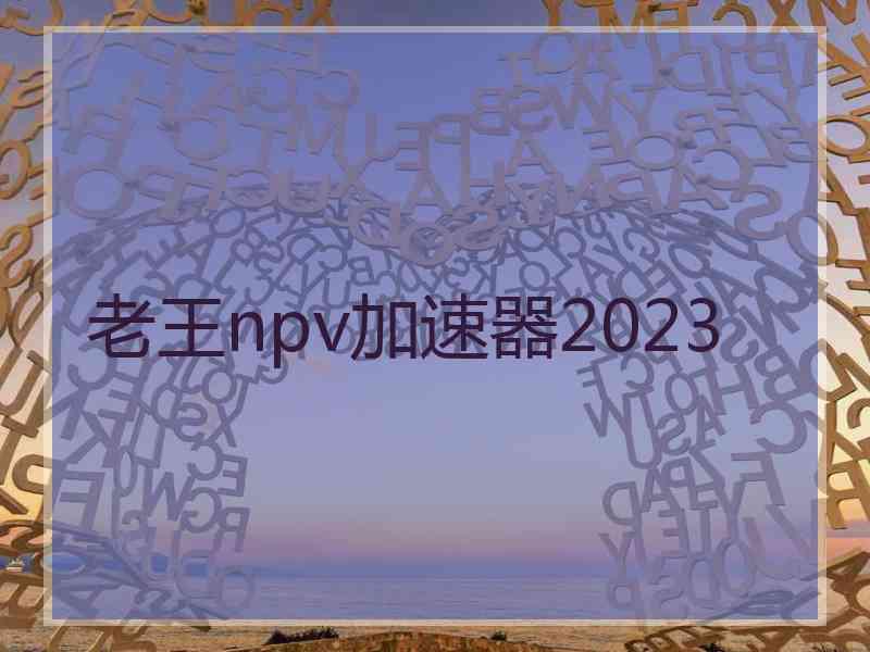 老王npv加速器2023