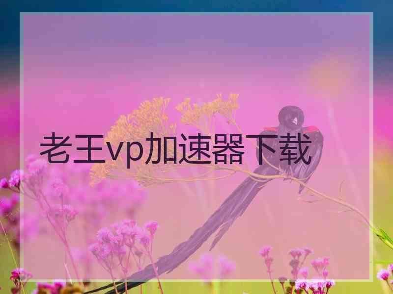 老王vp加速器下载