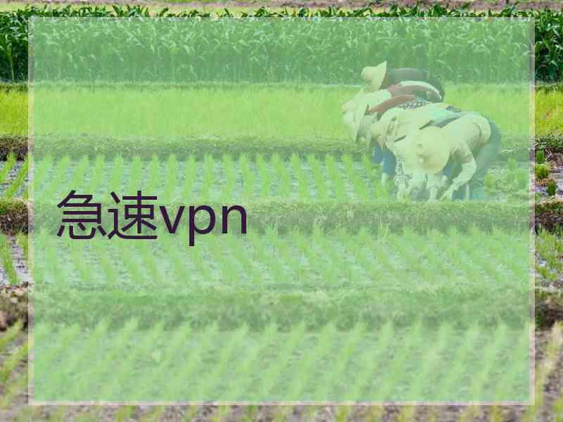 急速vpn