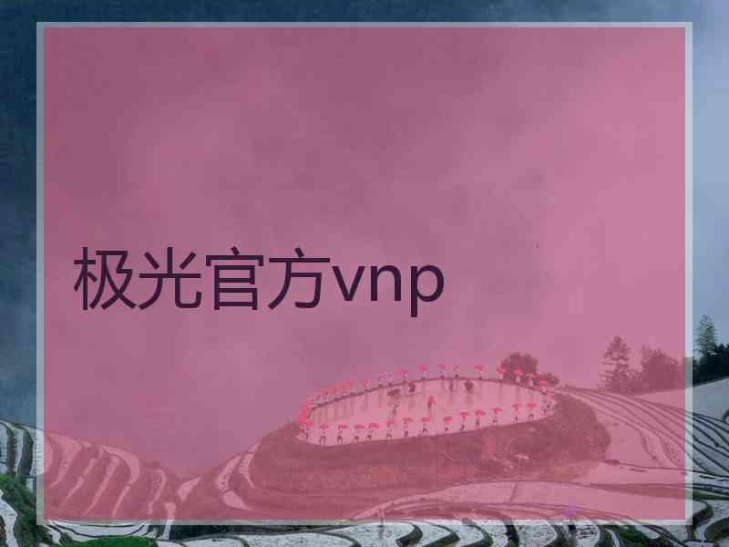 极光官方vnp