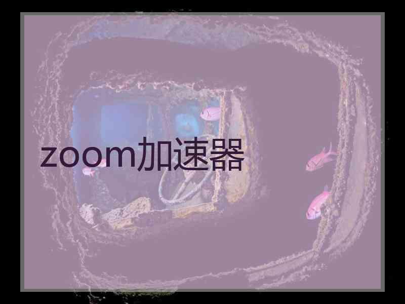 zoom加速器