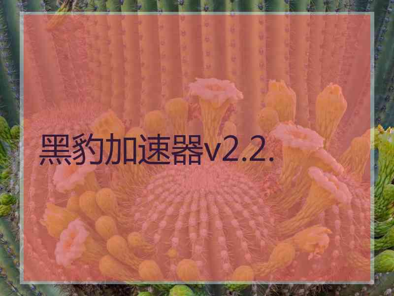 黑豹加速器v2.2.