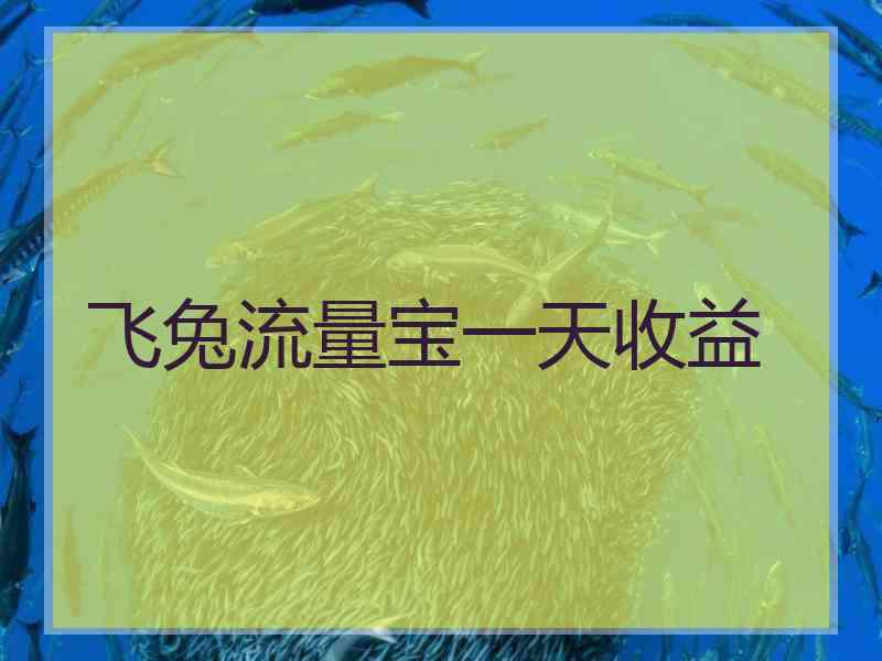 飞兔流量宝一天收益