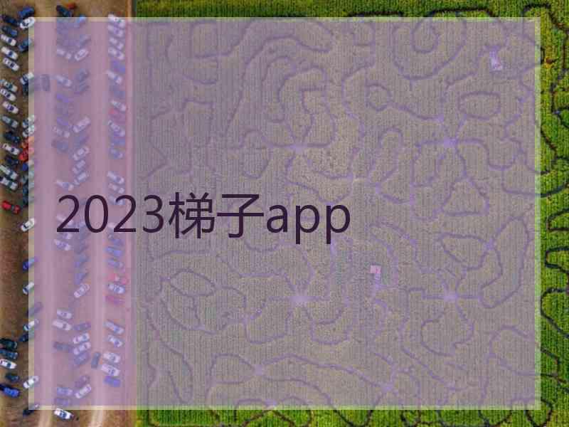 2023梯子app