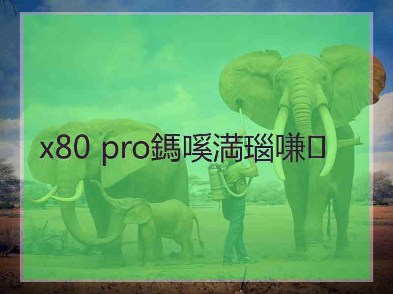 x80 pro鎷嗘満瑙嗛