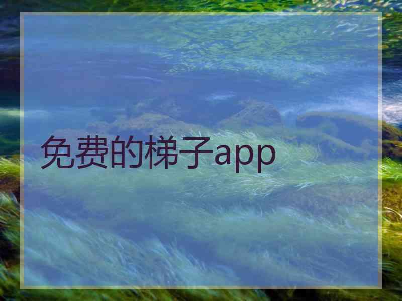 免费的梯子app