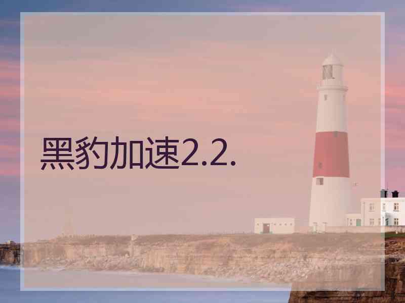 黑豹加速2.2.