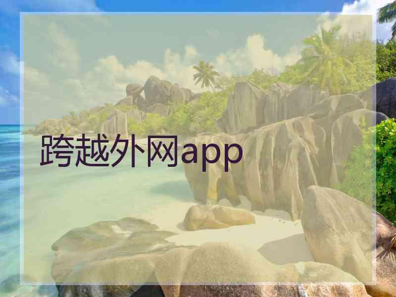 跨越外网app