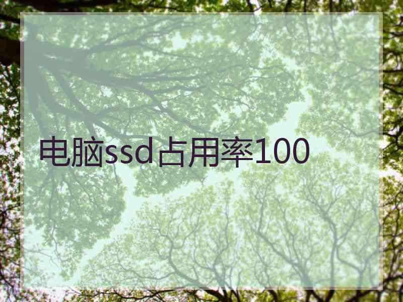 电脑ssd占用率100