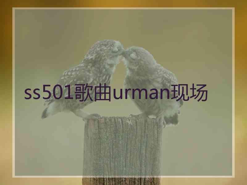 ss501歌曲urman现场