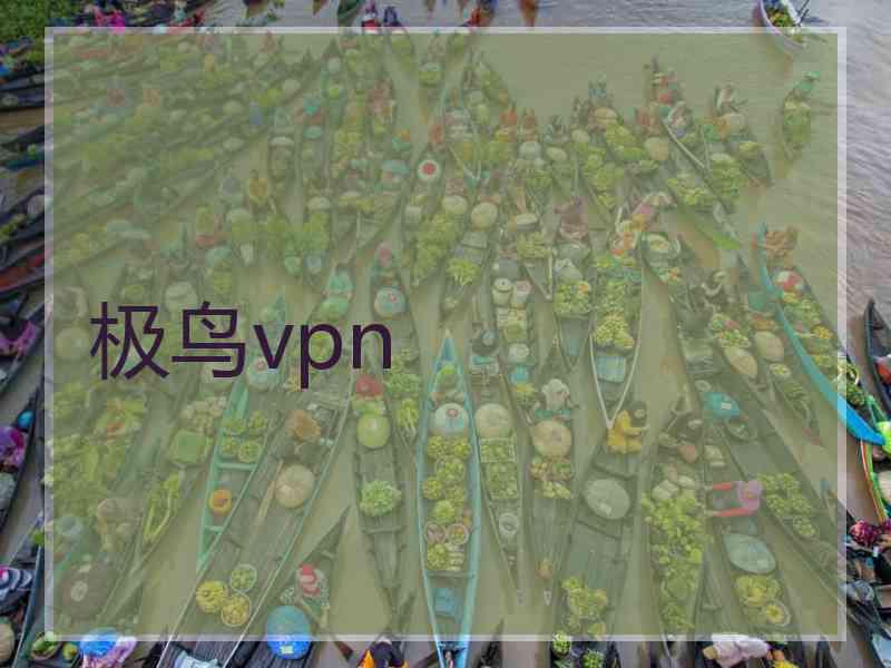 极鸟vpn